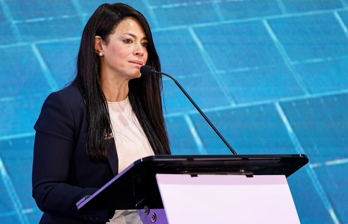 المشاط: مصر منصة للتمويلات الدولية للقطاع الخاص